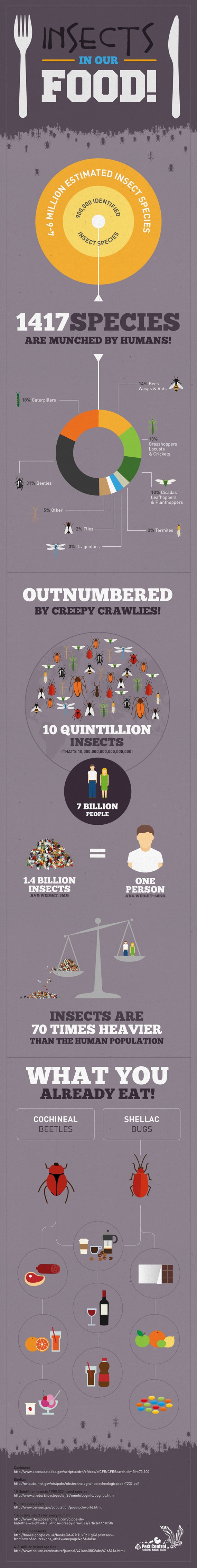 insects on our food infographic